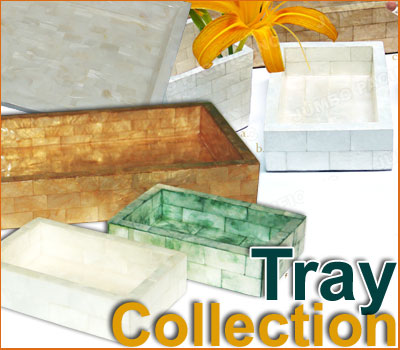 trays